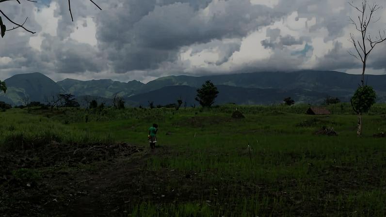 The Nimba mountain range as seen from southern Guinea. Image by Maarten van der Bent via Flickr (CC BY-SA 2.0).