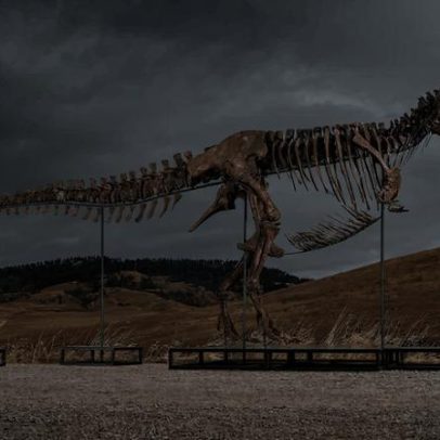 T. rex de US$30 milhões na Sotheby’s aponta auge de itens de luxo entre ultra-ricos