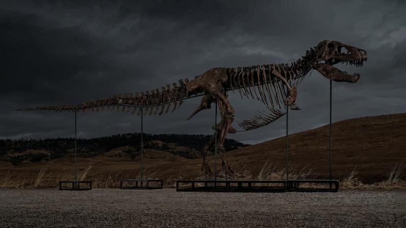 Bone Chip is the new Blue Chip. Sotheby’s will offer “Gus,” a 67-million-year-old Tyrannosaurus rex skeleton estimated at $20 million to $30 million. Feeding costs: unknown.