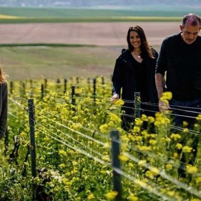 Perrier-Jouët avança com iniciativa regenerativa
