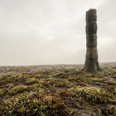 Ser vivo gigante do Devoniano, descoberto há 165 anos, segue sem classificação