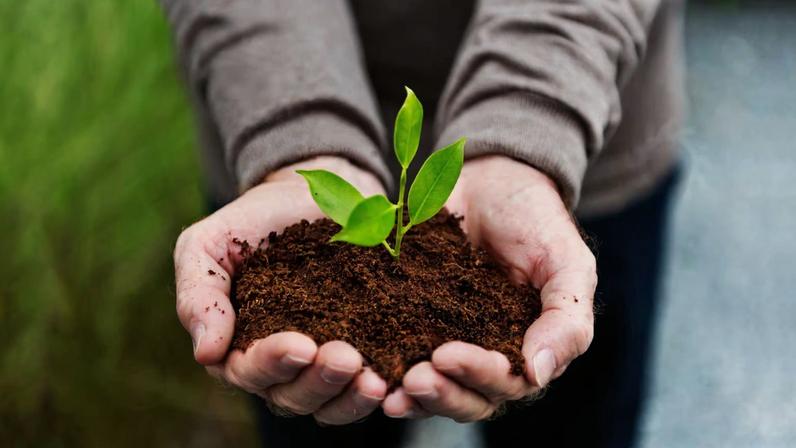 Mercado de capitais ganha espaço na expansão do agro