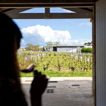 Bordeaux 2025: sucessos discretos em safra desafiadora de Pomerol