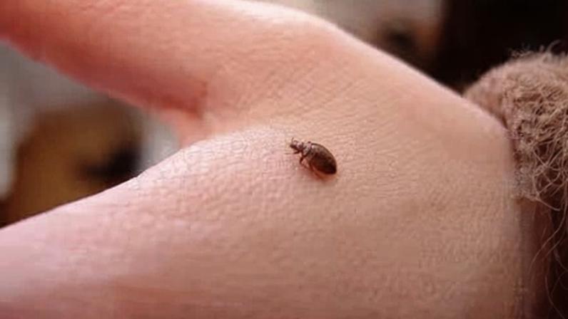 Créditos: Imagem/Divulgação