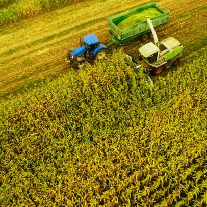 Impasse entre senadores e Fazenda trava renegociação de dívidas rurais