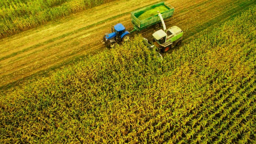 Impasse entre senadores e Fazenda trava projeto de renegociação de dívidas rurais