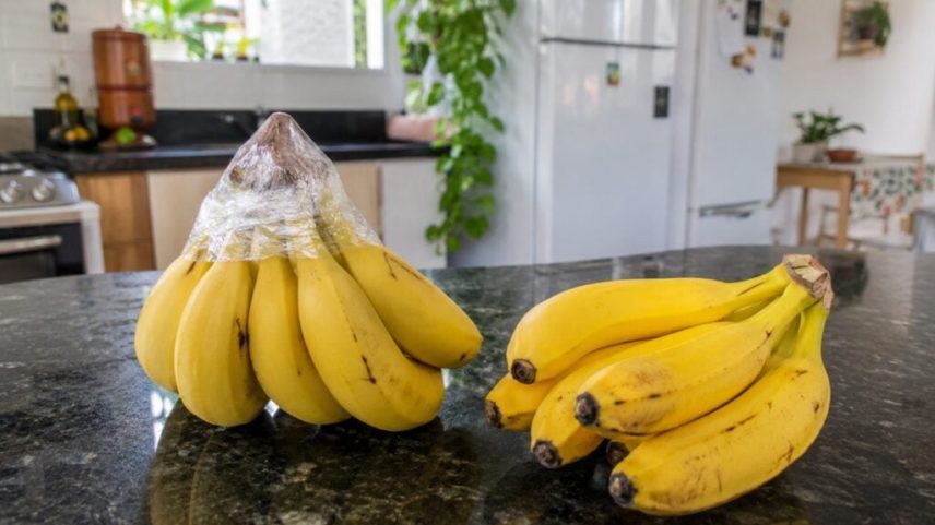 Créditos: Foto/Divulgação