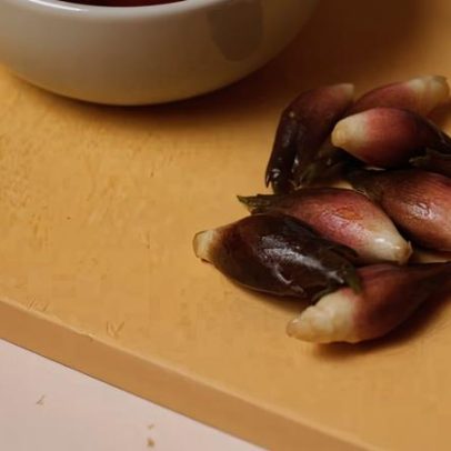 Gengibre à japonesa? Entenda o miogá, o gengibre japonês