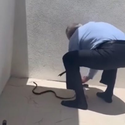Secretário de Trump é picado ao pegar cobras com as mãos