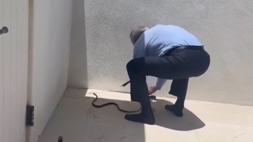 Secretário de Trump é picado ao pegar cobras com as mãos