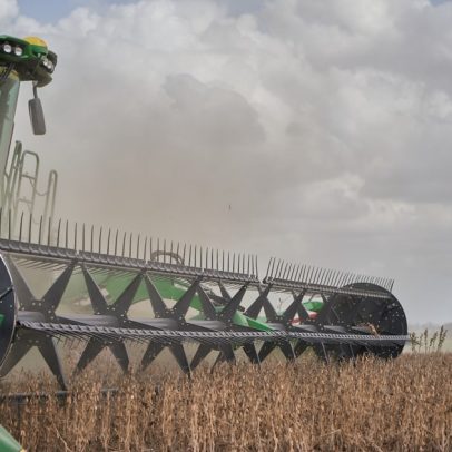 Argentina busca manter exportação de soja após veto holandês a transgênicos