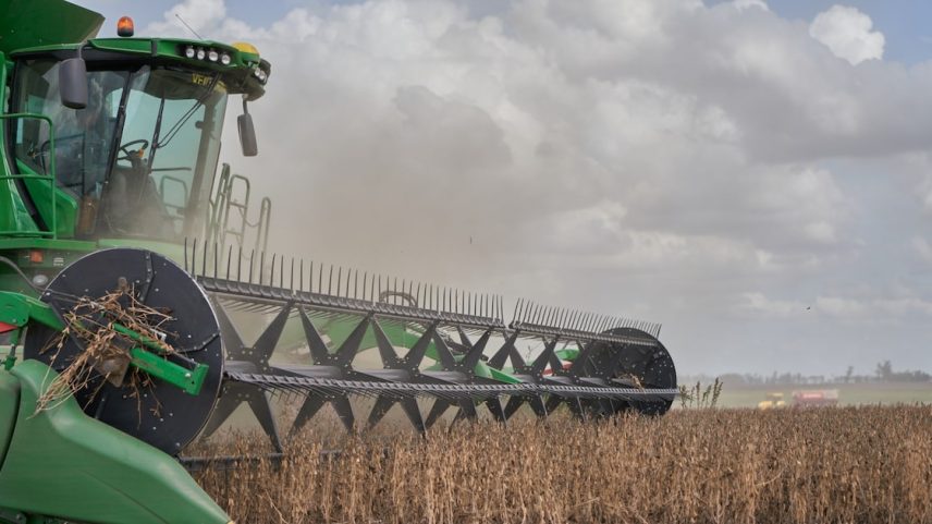Produtores e indústrias de processamento intensificam esforços para isolar a variedade de soja resistente à seca conhecida como HB4 do restante da safra (Foto: Natalia Favre/Bloomberg)