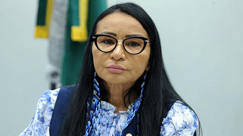 A ex-deputada federal Sílvia Waiãpi | Distribuição/Renato Araujo/Câmara dos Deputados