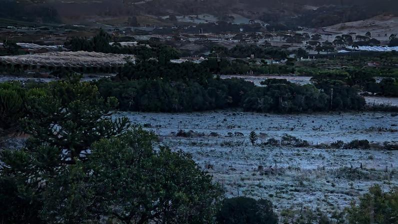 12 de maio de 2026: dia de frio intenso no Sul do Brasil, com geada forte e temperatura negativa (Foto: São Joaquim, SC, por Mycchel Legnaghi)