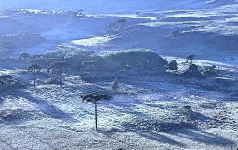 Forte onda de frio atua no centro-sul do Brasil causando temperaturas negativas e geada (foto: Mycchel Legnaghi - saojoaquimonline)