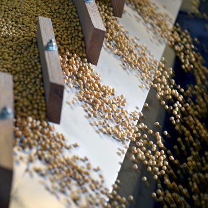 Casa Branca diz que China comprará US$17 bilhões em agrícolas dos EUA por ano