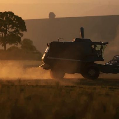 Brasil tem estoque de soja para 2026 mais alto em 9 anos, diz Abiove