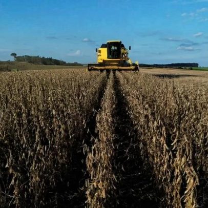 Corte de subvenção do governo afeta seguro rural com novo ano negativo
