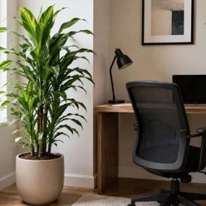 Pau-d’água transforma home office em espaço acolhedor e funcional