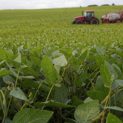 Crise global de fertilizantes gera alerta para próxima safra de soja
