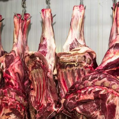 Governo promete apresentar dados em 10 dias para reverter veto da UE à carne