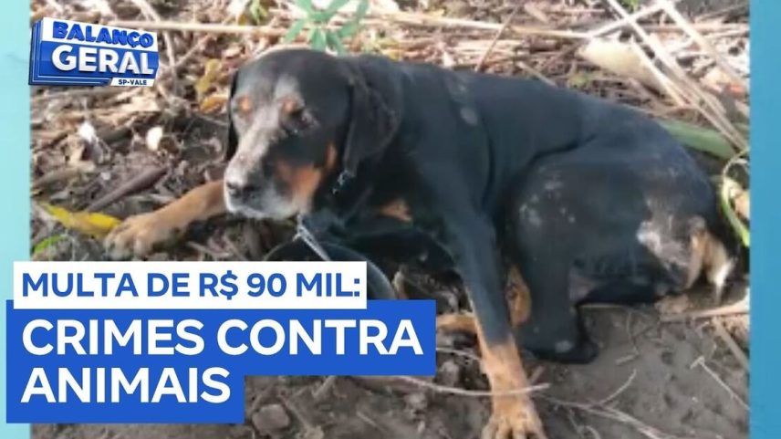 Reprodução canal do Youtube Record Litoral e Vale