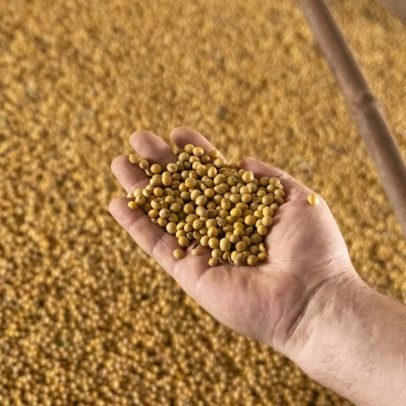 Demanda por crédito agrícola sustenta planos do Asset Bank