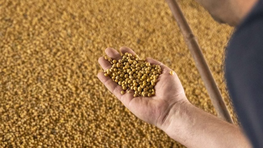 Demanda agro por crédito sustenta planos do Asset Bank