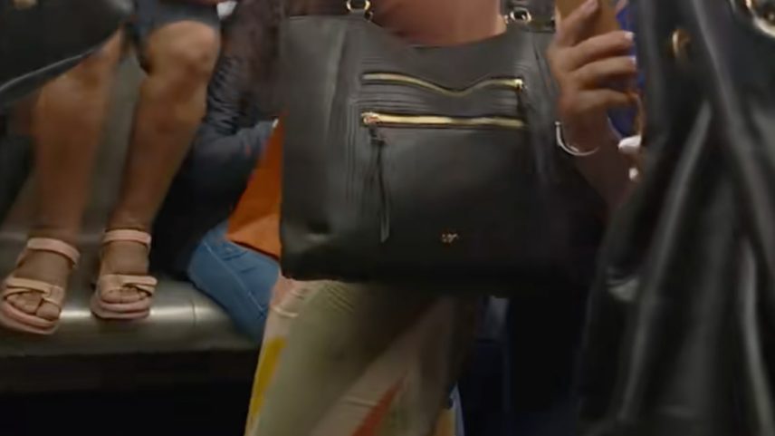 Imagens mostram correria, gritos e risadas após animal aparecer em vagão feminino do metrô do Rio de Janeiro