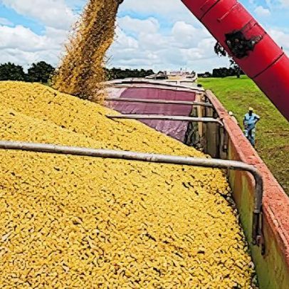 Percepção de risco do Brasil melhora diante da instabilidade global