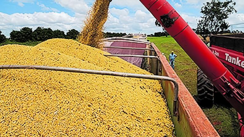 País combina resiliência interna e novo olhar de investidores para sustentar ciclo mais positivo