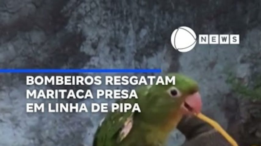 Reprodução canal do Youtube Record News
