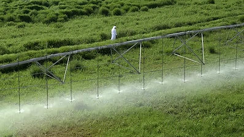 Imagen cedida por Fertiglobe, productor de fertilizantes de Emiratos Árabes.