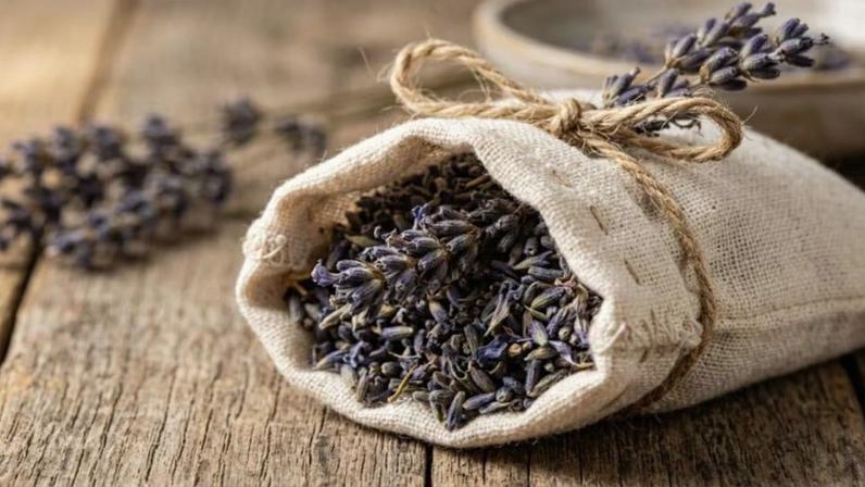 Lavanda entre o estrado e o colchão: para que serve e efeitos pela manhã