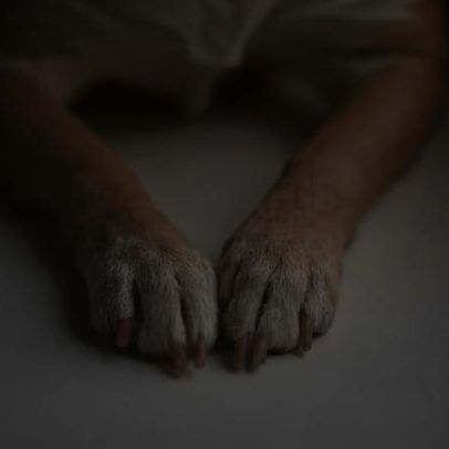Mais de 60 cães morrem em suposto envenenamento no Sertão da Paraíba