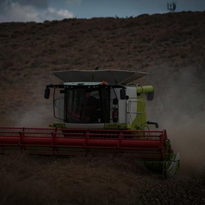 Consórcio rural amplia espaço frente a crédito mais caro