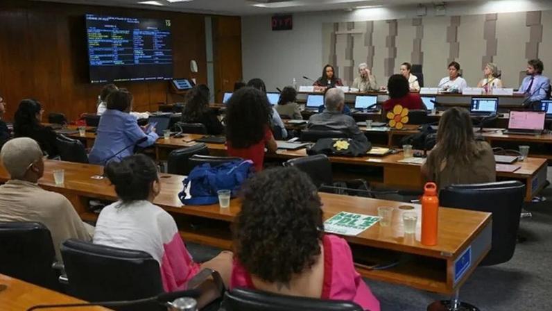 Violência sexual contra crianças e adolescentes ocorre principalmente no ambiente doméstico, diz conselheira nacional dos Direitos da Mulher (CNDM), Alison Regina Mazza Lubascher.