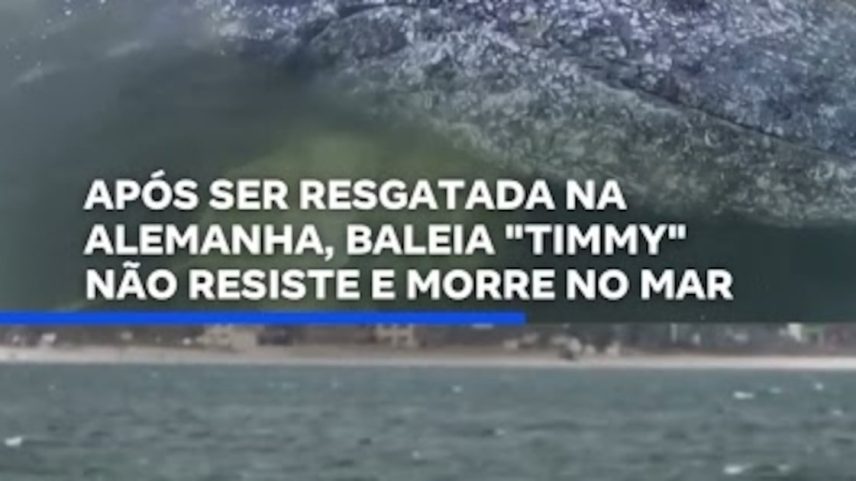 Reprodução canal do Youtube Record News