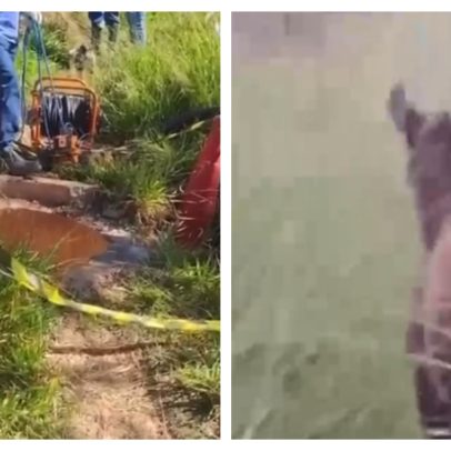 Animal cai em adutora da Copasa e afeta abastecimento em 300 bairros da Grande BH