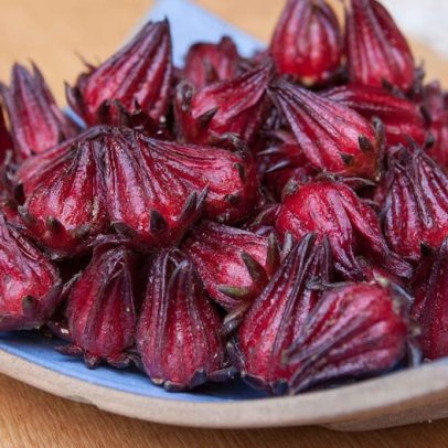 Chá de hibisco: benefícios, usos e modo de preparo