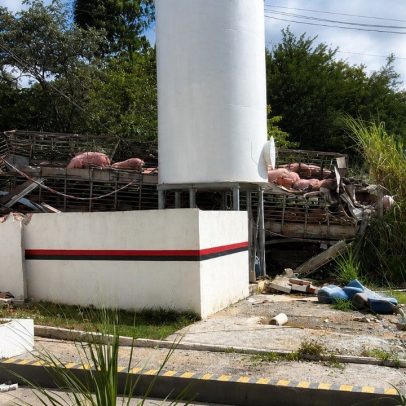 Grávida morre após caminhão com suínos capotar e atingir frigorífico em MG