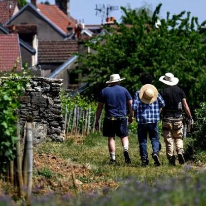Geração de idosos empobrece jovens europeus, aponta estudo