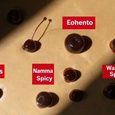 Testamos as melhores cerejas para coquetel: vale a pena comprar