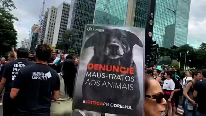 Reprodução Instagram via @porvcorelha