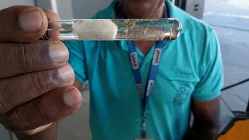 Casos de dengue na Bahia