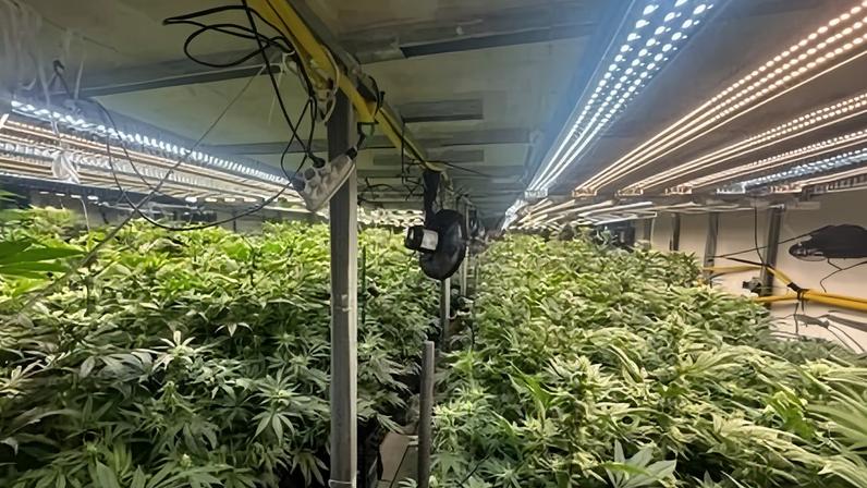 Duas mulheres foram levadas para a Central de Polícia Judiciária de Mogi das Cruzes e indiciadas por tráfico de drogas