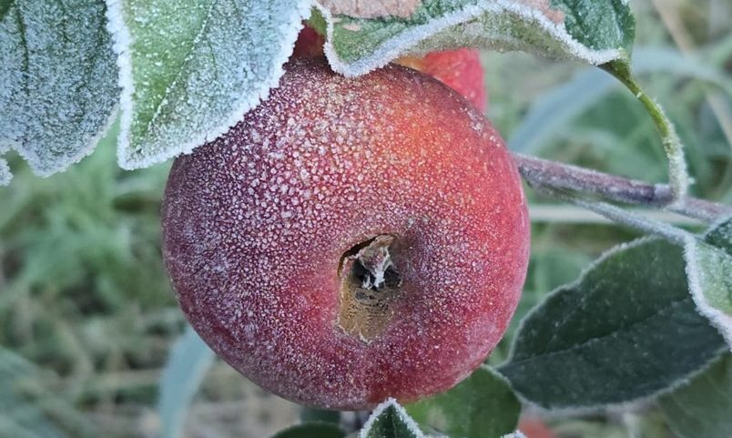 Imagem da notícia Frio diminui no Sul nesta quarta-feira, após recorde de menor temperatura no país este ano