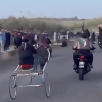 Polícia investiga corrida clandestina de cavalos com fuzis na Itália