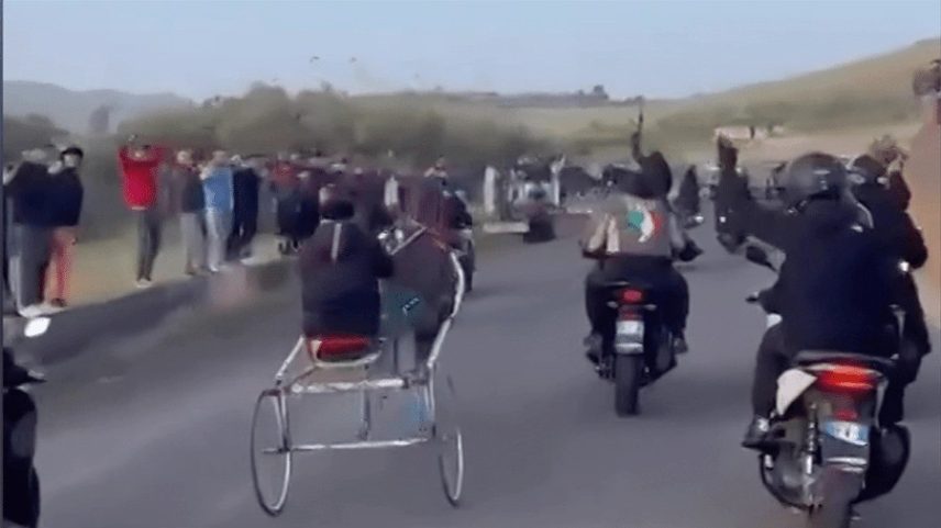 Polícia da Sicília investiga corrida ilegal com carroças puxadas por cavalos e fuzis Kalashnikov