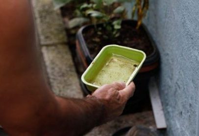 Bahia teve seis cidades em epidemia de dengue e quatro mortes
